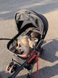 Bicystar Pet Stroller for Small Dogs Cats with Detachable Carrier, Max Load 33 lbs, Car Seat 3 in 1 (Upgraded)