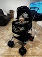 Bicystar Pet Stroller for Small Dogs Cats with Detachable Carrier, Max Load 33 lbs, Car Seat 3 in 1 (Upgraded)