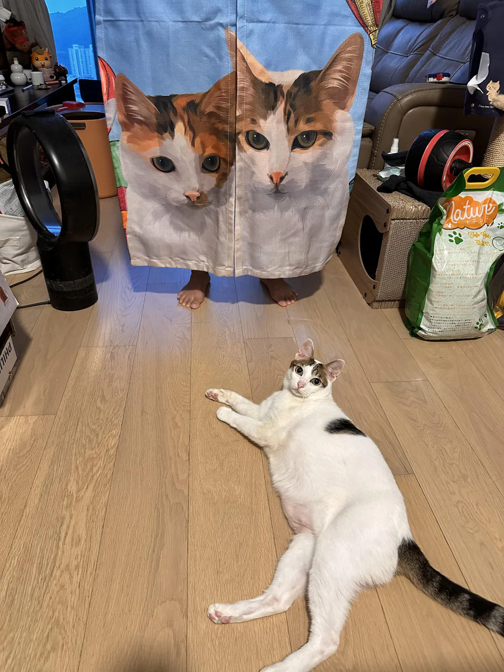 【客製化禮物】門簾