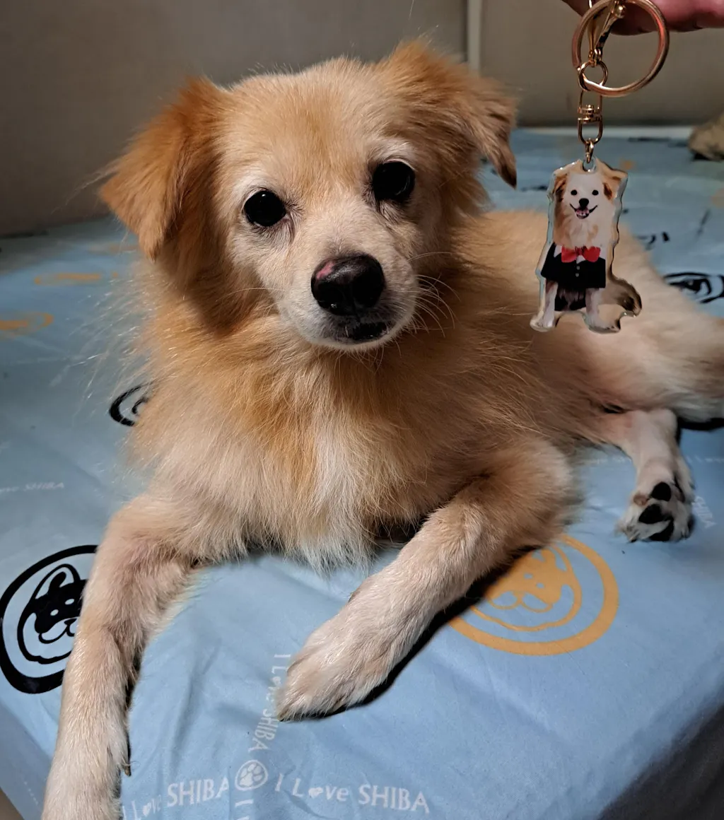 【客製化禮物】鎖匙扣訂製