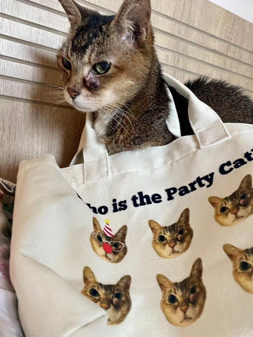 【客製化禮物】手提袋 Totebag