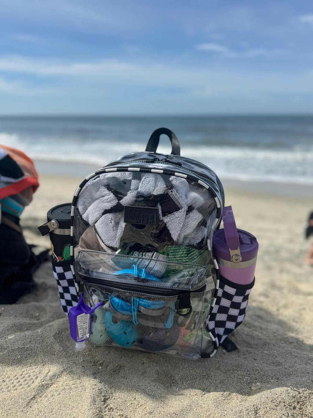 Clear Checkered Backpack