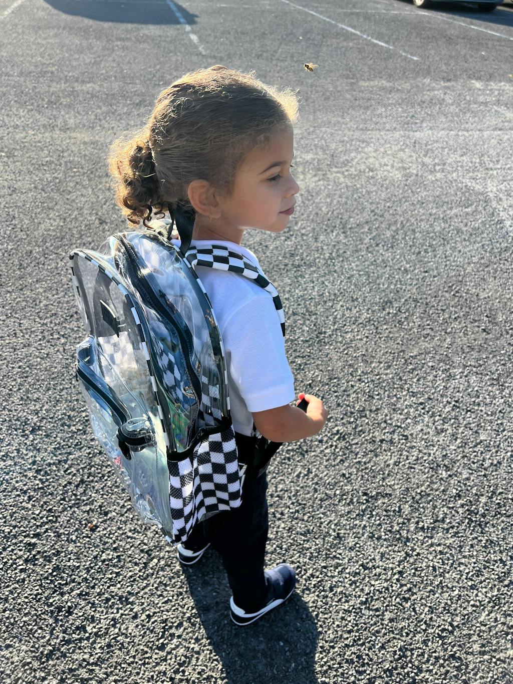 Clear Checkered Backpack