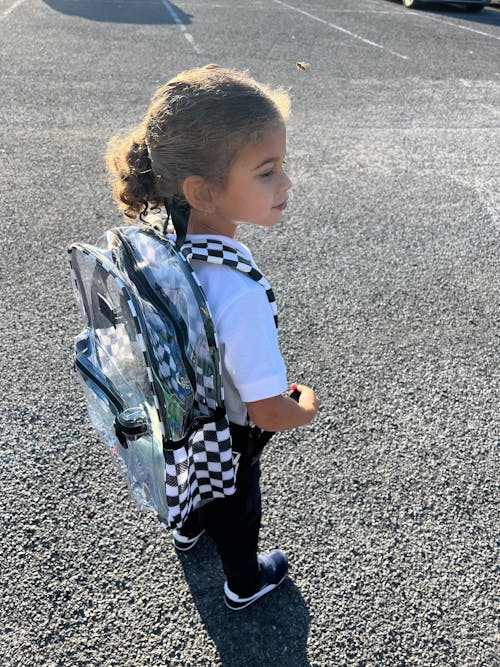 Clear Checkered Backpack