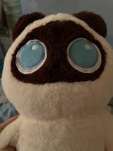 Big Eyes Cat Stuffed Toys – Big Squishies