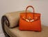 Isabelle Luxe Handbag