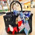 Isabelle Luxe Handbag