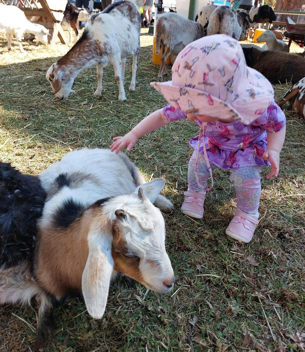 ELLIE pink baby and toddler girls sneakers