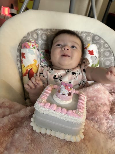  Fruit  Fake Cake Jewelry Box