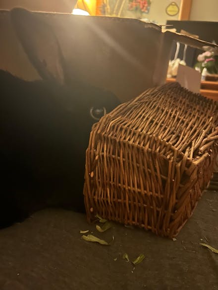 Rectangular Toy Basket - 6 PACK [12" x 6.5" x 5"]