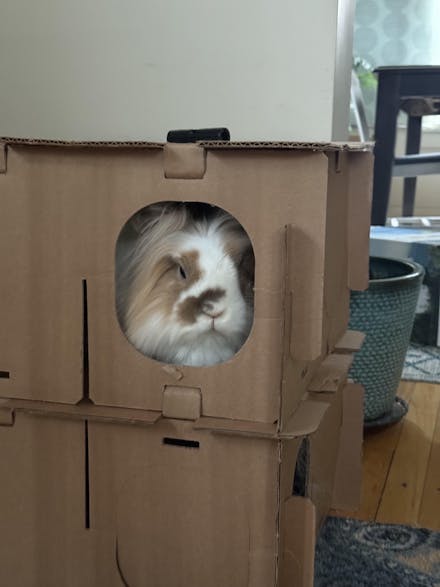 Maze & Mini Haven PARTS