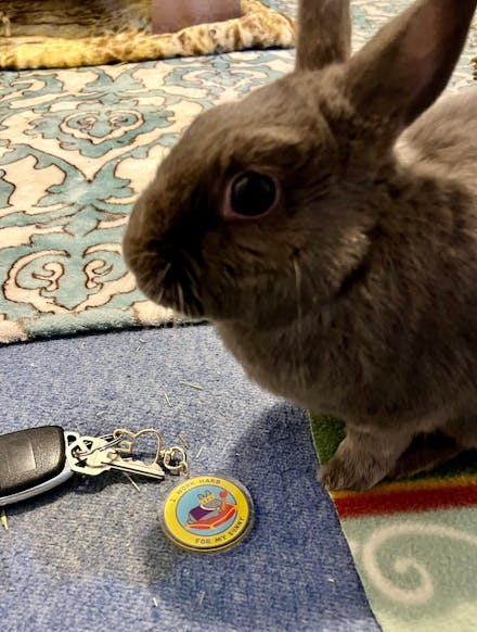 I Work Hard For My Bunny KEYCHAIN | NEW