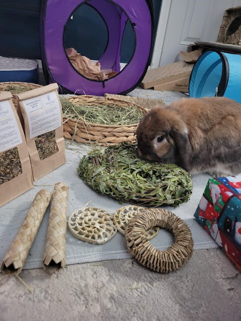 Willow Wreath with Foliage (Limit 2)