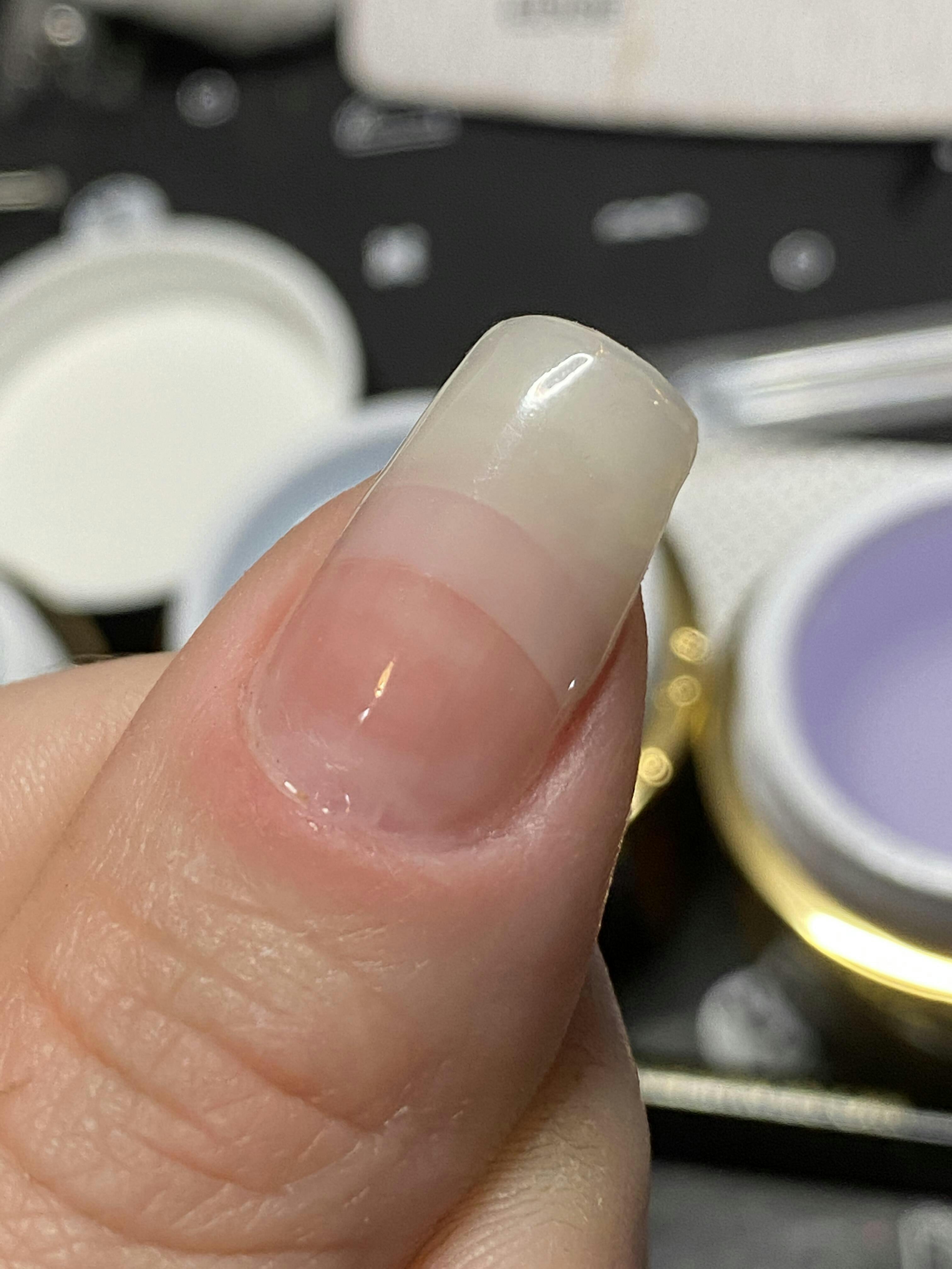 Sculpting Gel Starter Kit