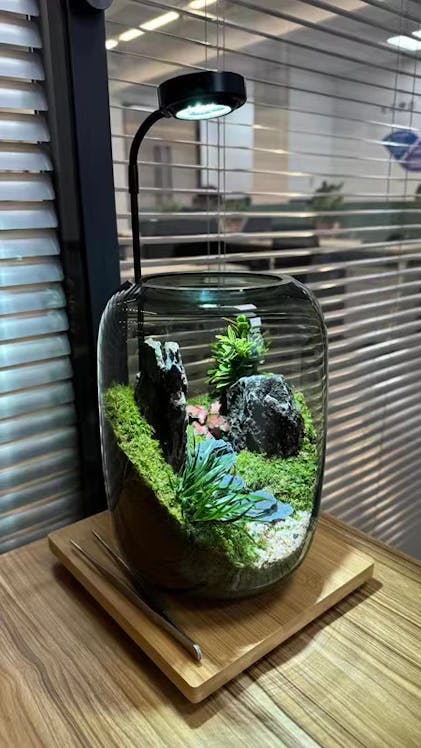 その他 Oasis mini Oasis Mini by Oasis Design — Kickstarter