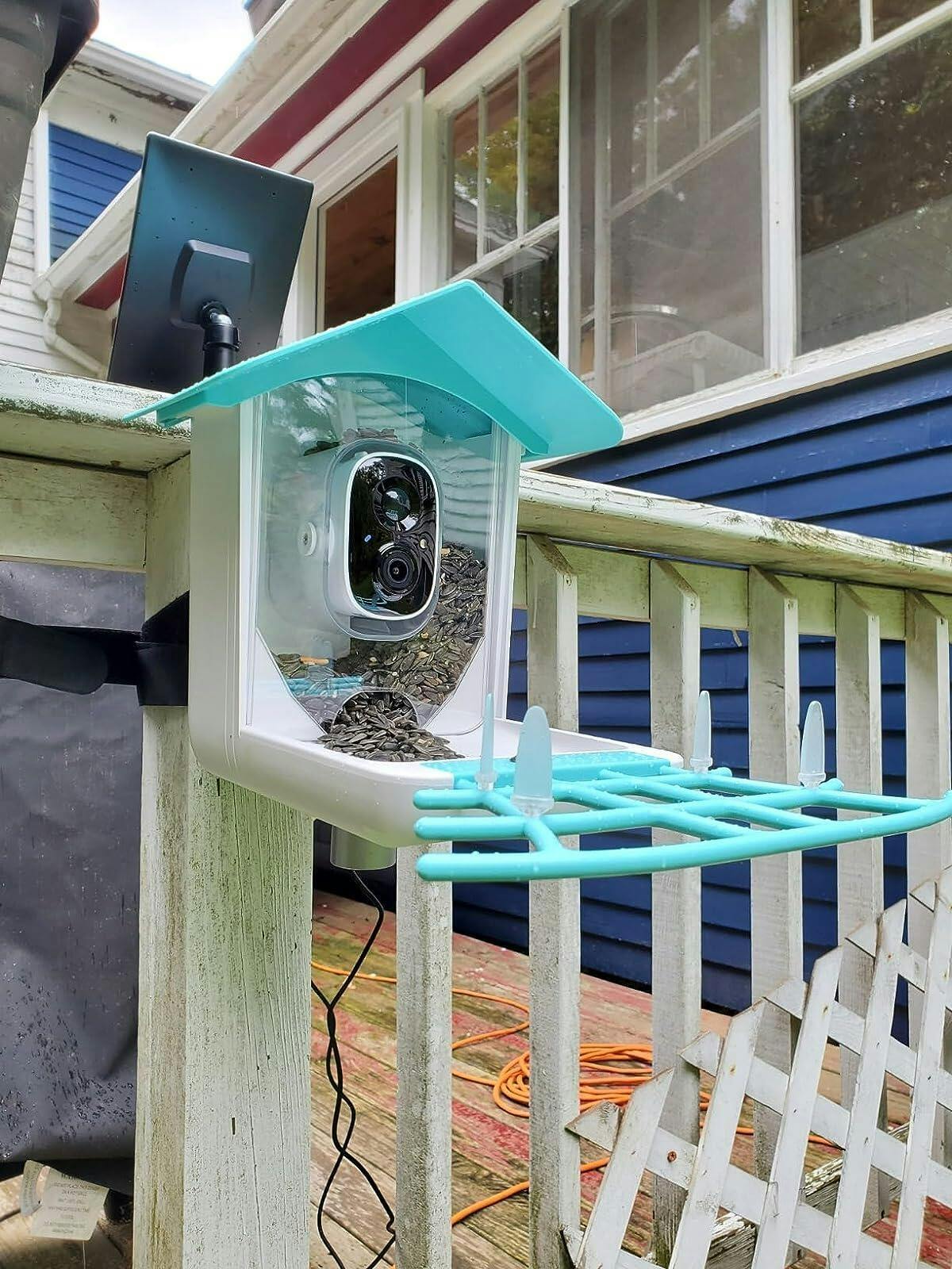 Smart Bird Feeder with Camera and Bird Recognition birdieplus