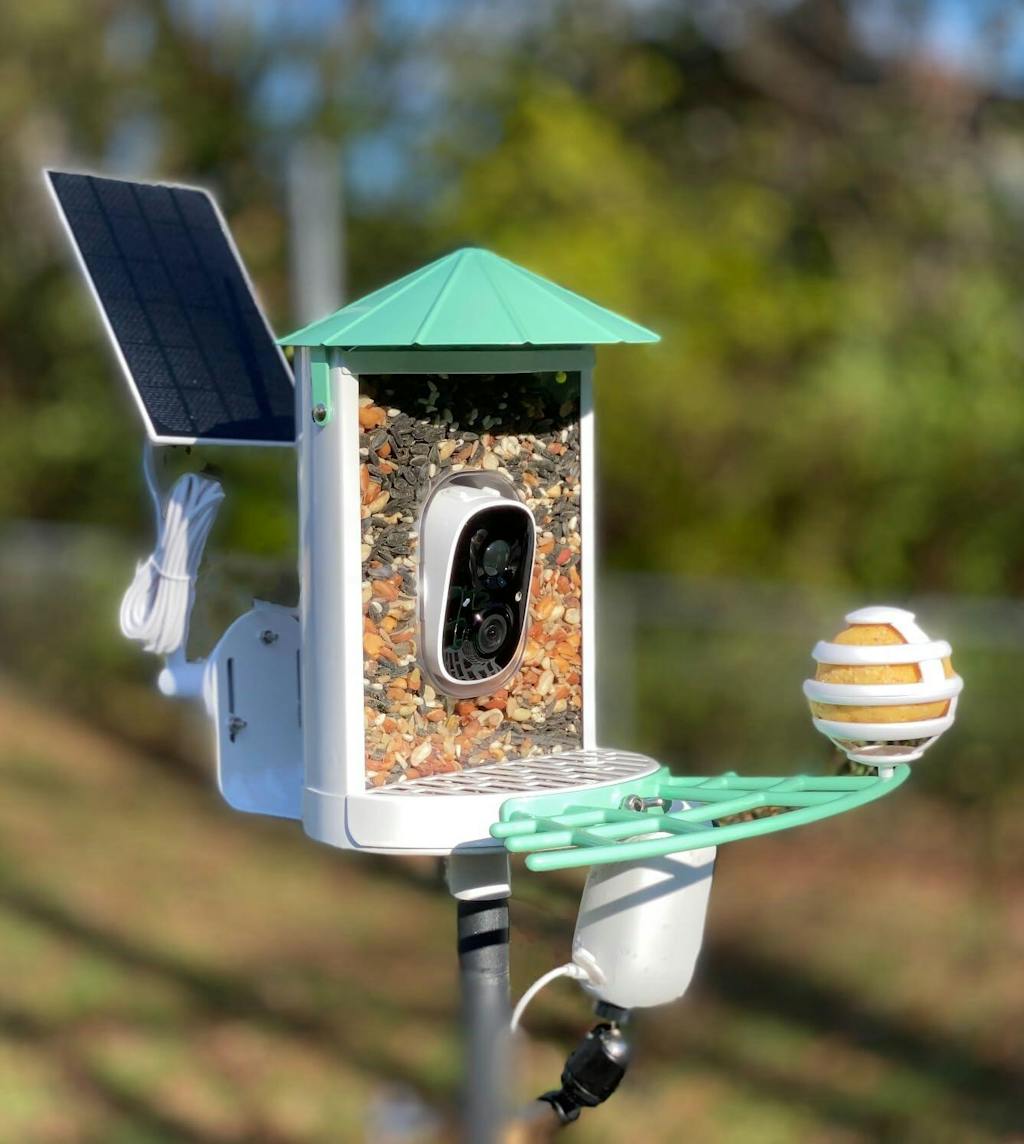 Metal Squirrel Proof Bird Feeder with Camera