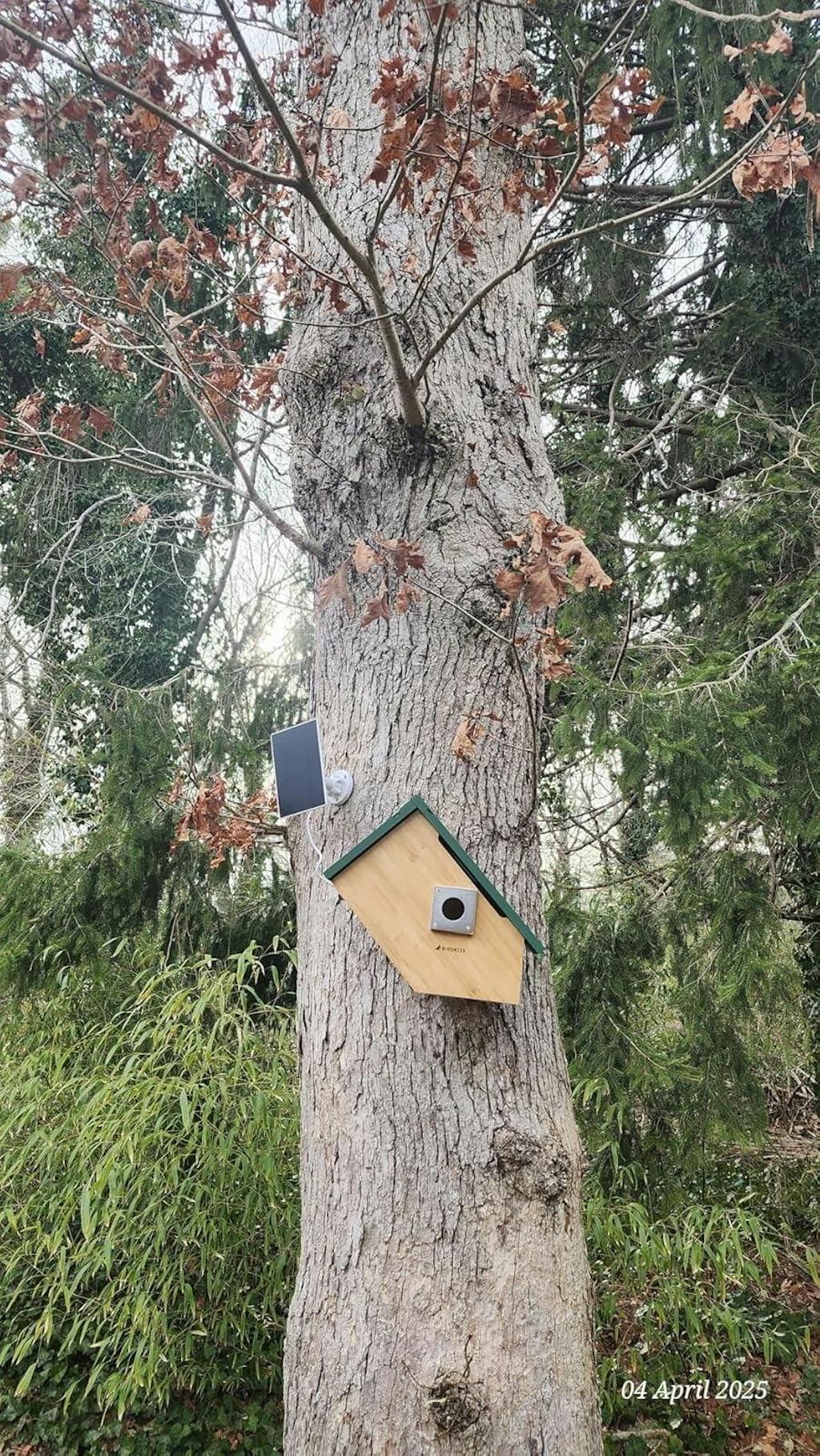 Smart Bird House with Camera