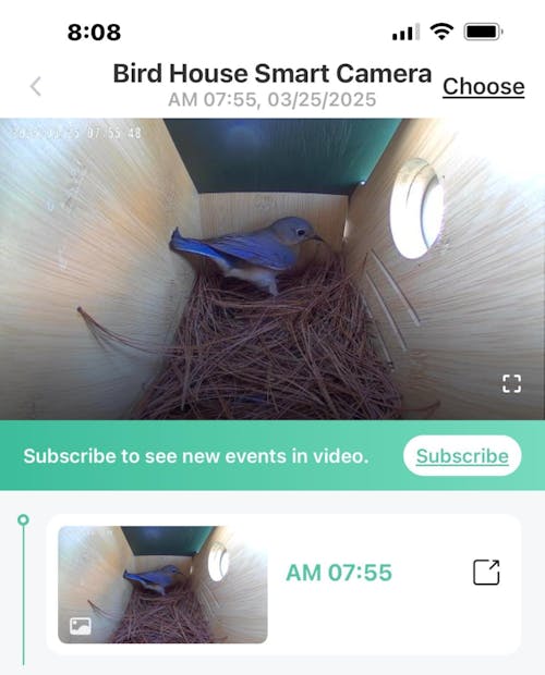 Smart Bird House with Camera