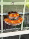 BD602 Window Hummingbird Feeder