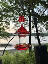 Christmas Hummingbird Feeder