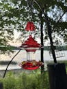 Christmas Hummingbird Feeder