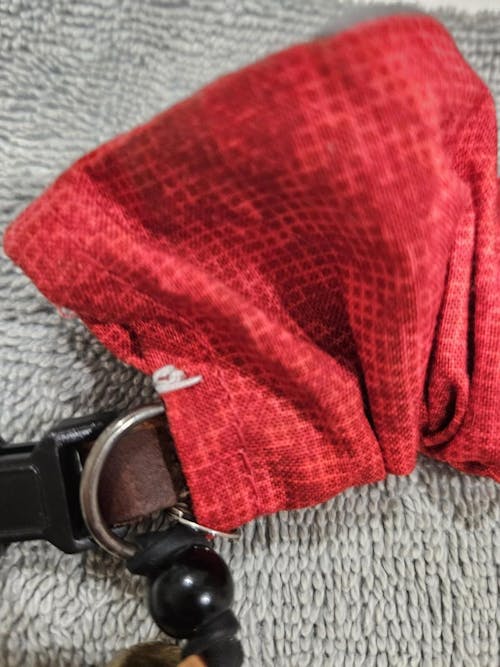 Red Ruby Birdsbesafe ® Collar Cover