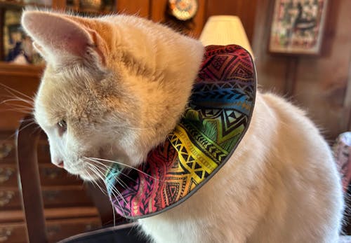 Tribal Stripes Birdsbesafe ® Collar Cover