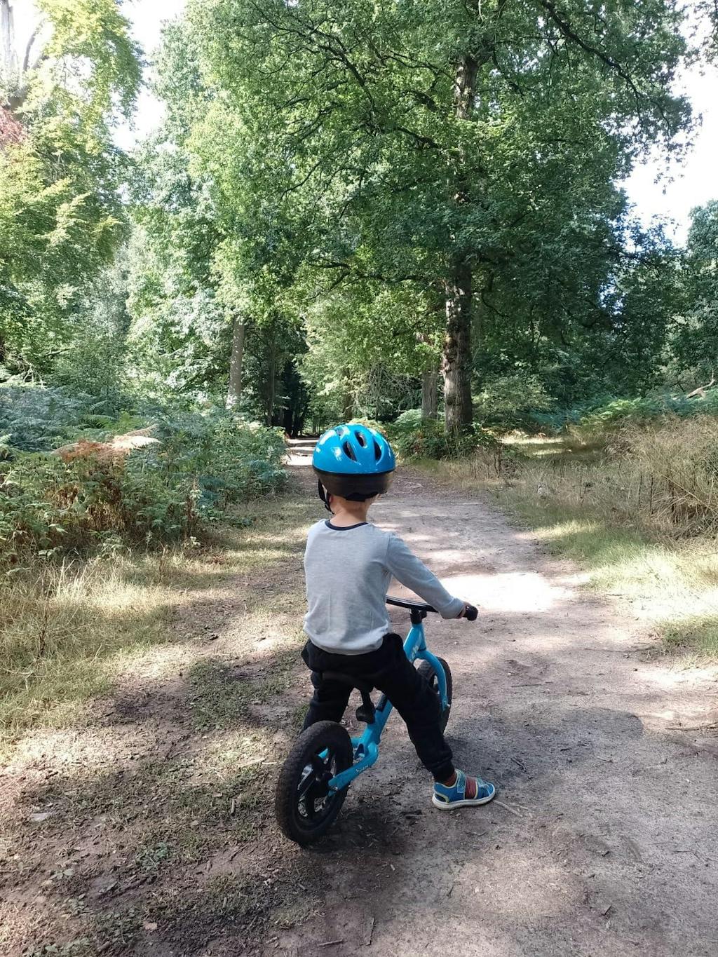 Birtech 12" Balance Bikes for Kids Toddlers Birtech Bikes