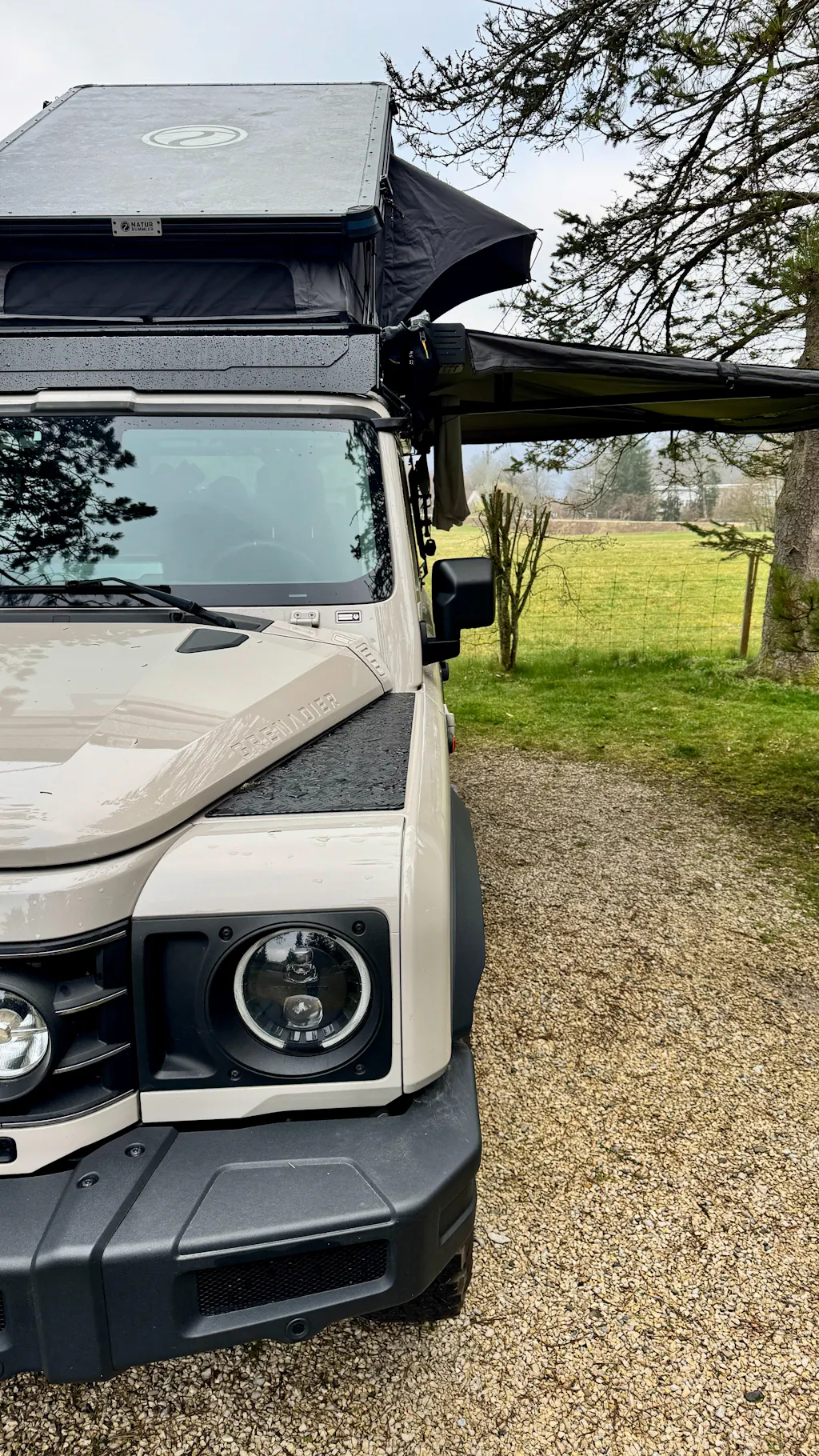 Fender Plates - Grenadier & Quartermaster