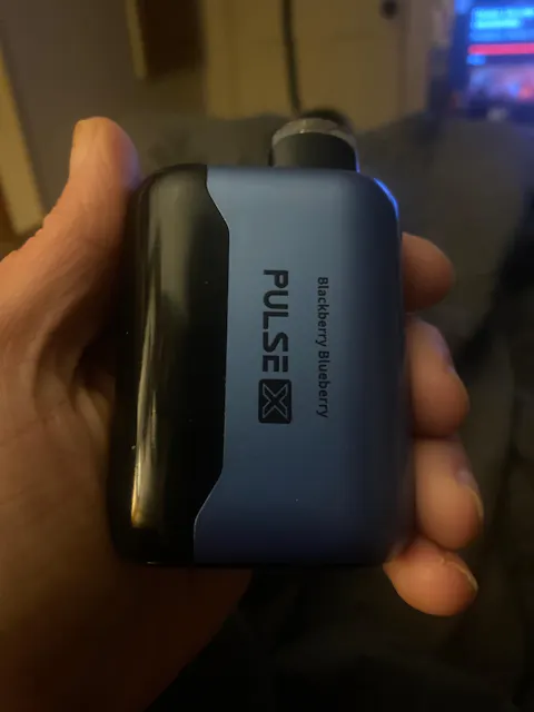 Blackberry Blueberry - Geek Bar Pulse X 25000 | Online Vape Shop