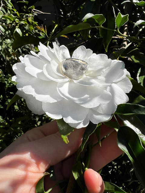 Dog Nose Print Signet Ring