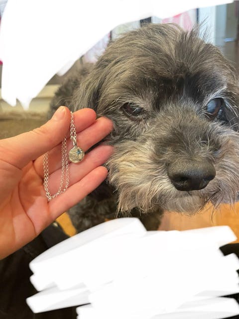 Dog nose print chain pendant