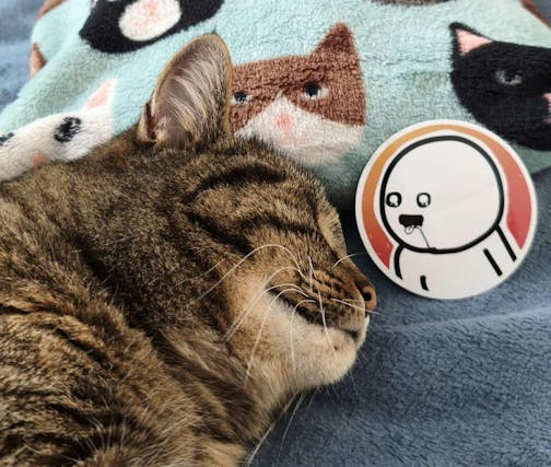 JustVidman Matrica Csomag [10db]