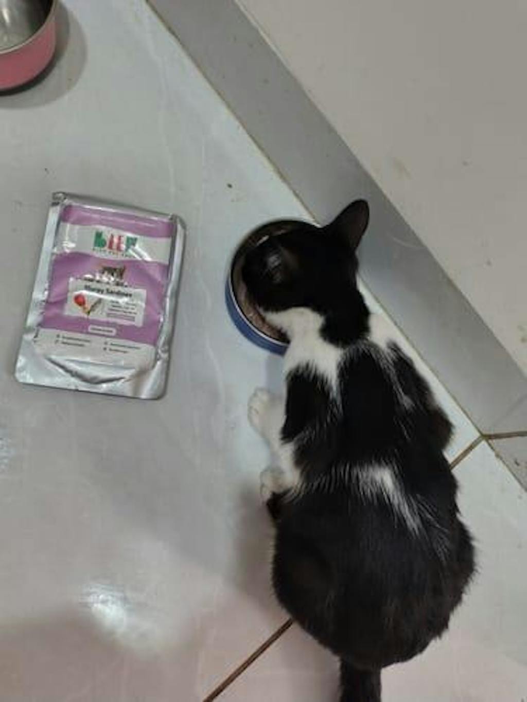 Monthly Pack of Tuna, Mackerel & Sardine Fresh Cat Food