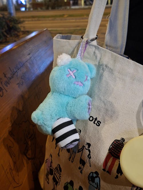 SHINWOO - Ragbear Clinic Plush