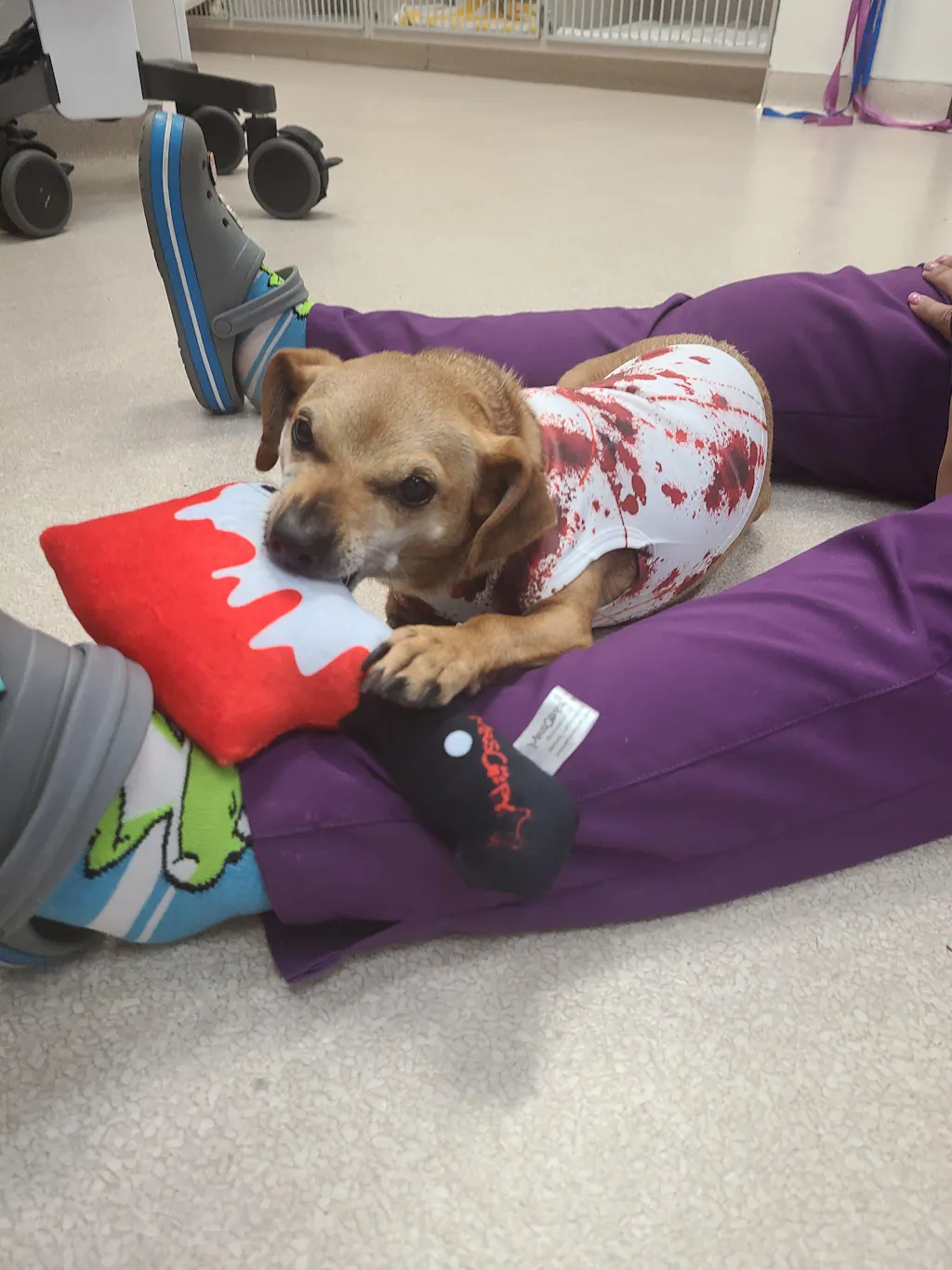 Bloody Cleaver Dog Squeaky & Crinkle Toy
