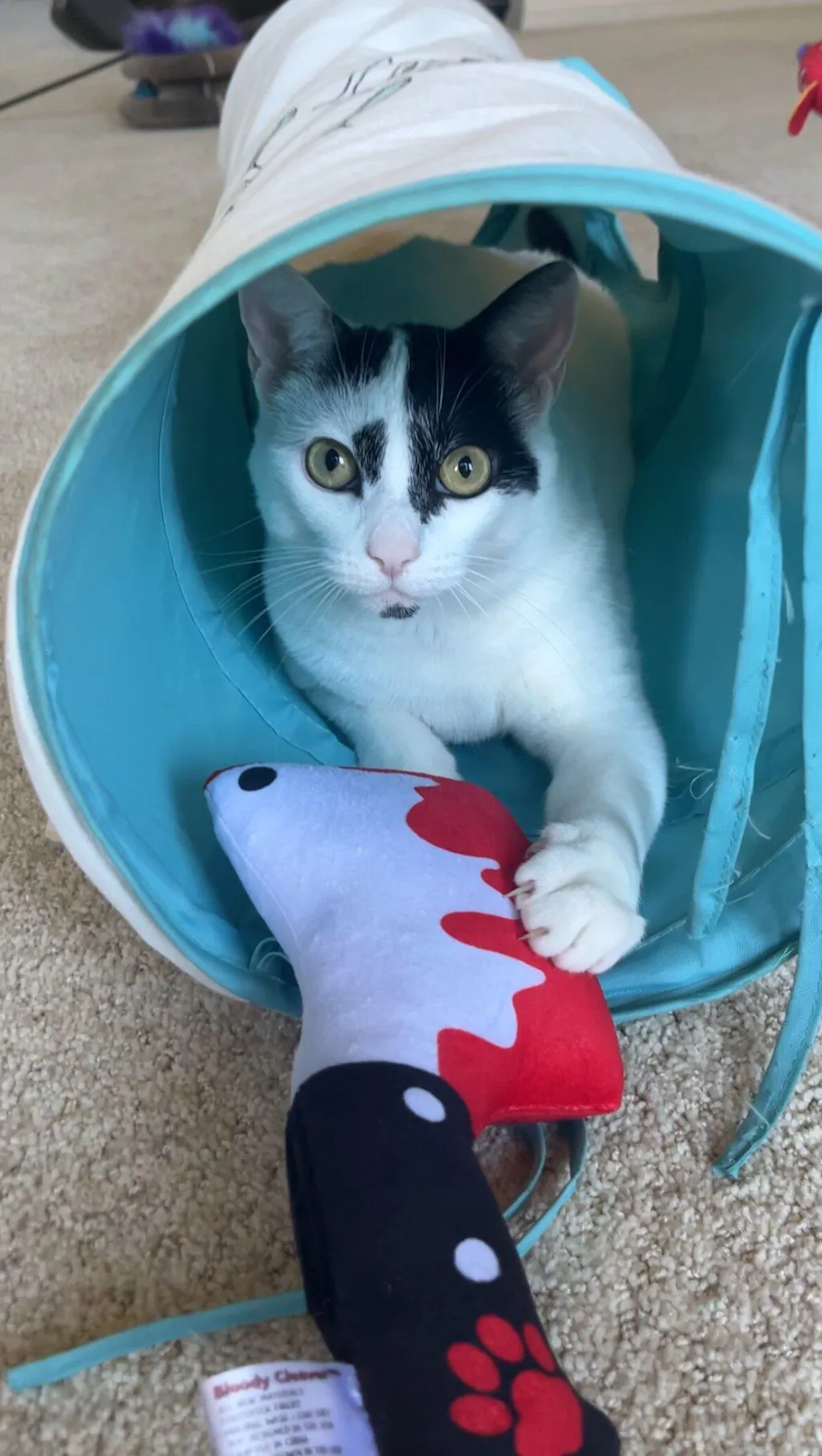 Bloody Cleaver Refillable Catnip Toy