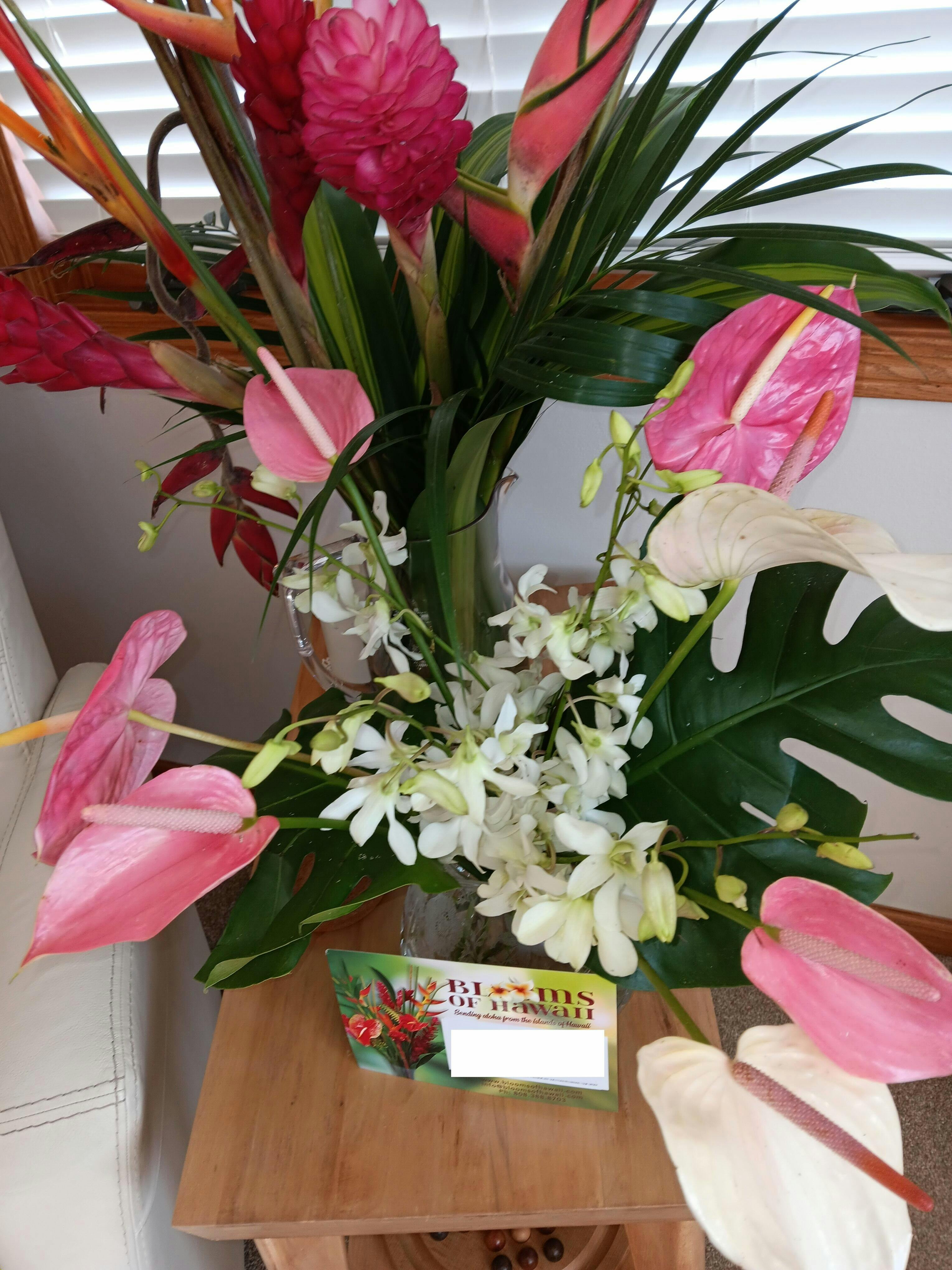 California Dreaming IDEAL FOR CA DELIVERIES (18 tropical Stems plus