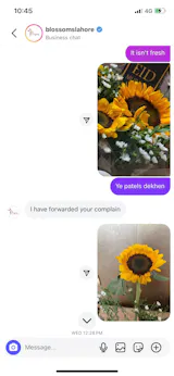 User picture
