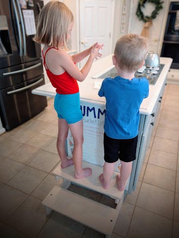 The Double Step Stool