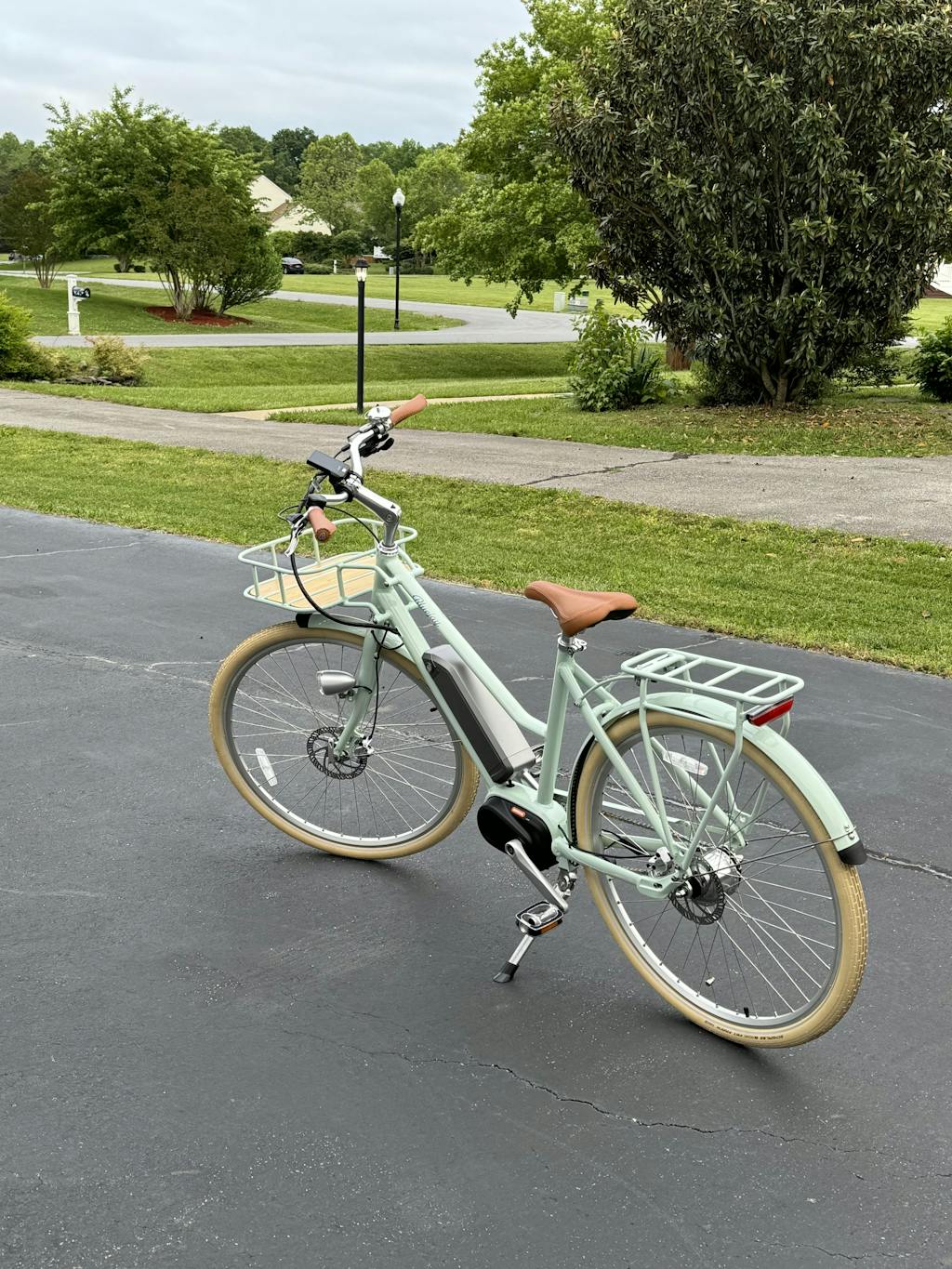 Bluejay Premiere - Mint Green Electric Bike