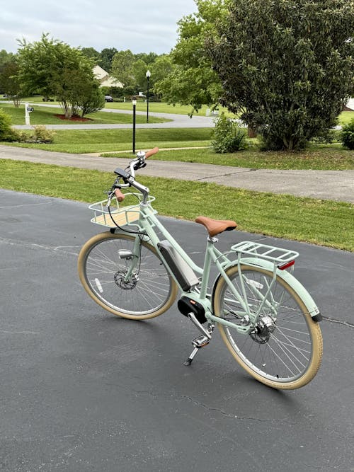 Bluejay Premiere - Mint Green Electric Bike