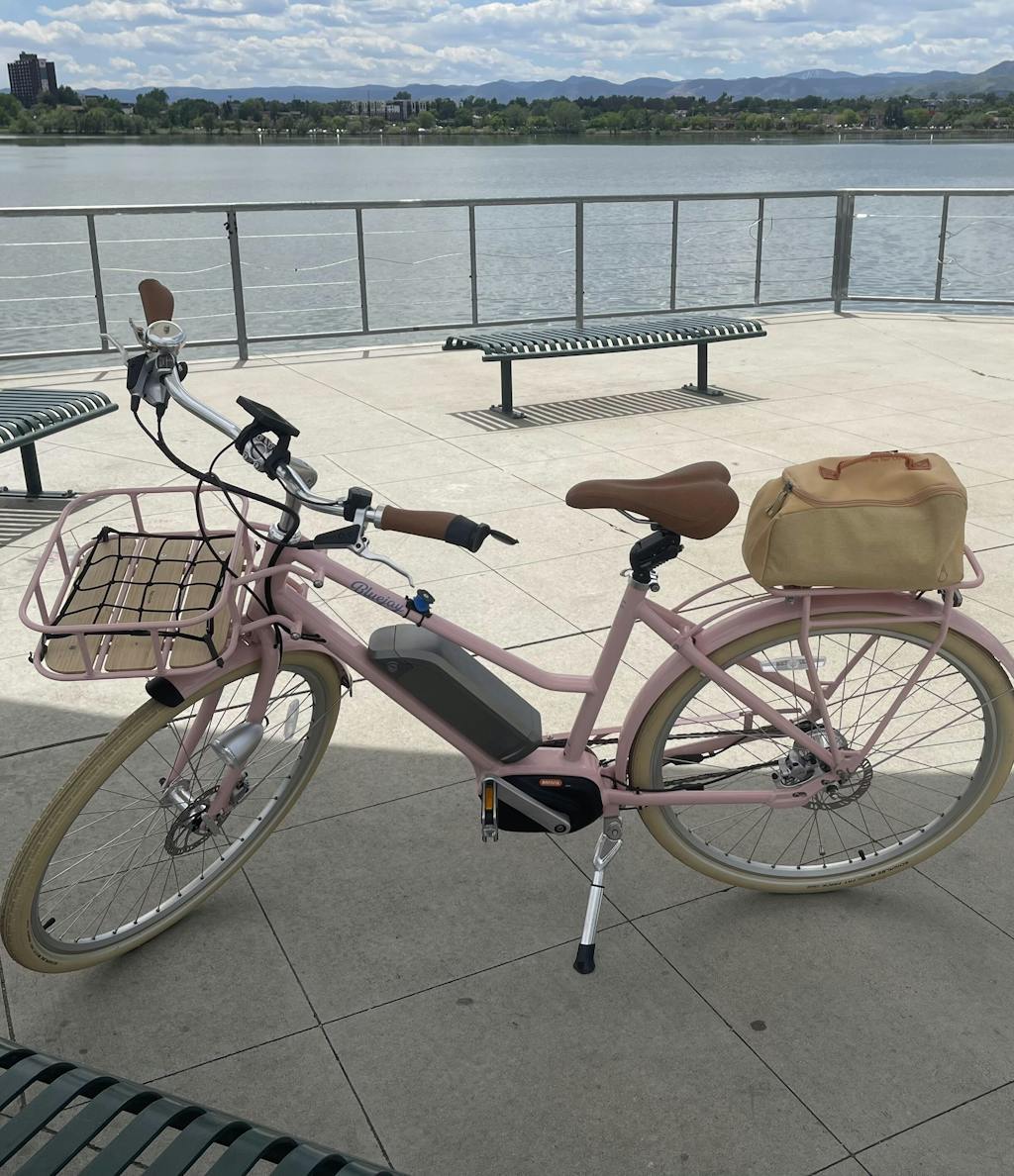 Bluejay Premiere - Blush Pink Electric Bike