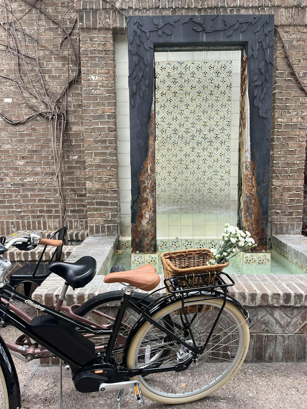 Bluejay Premiere - Classic Black Electric Bike