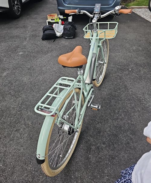 Bluejay Premiere - Mint Green Electric Bike
