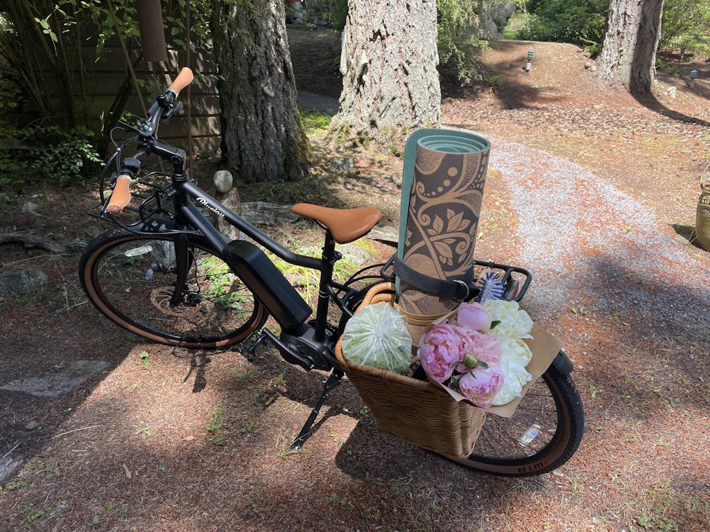 Bluejay Sport - Classic Black Electric Bike