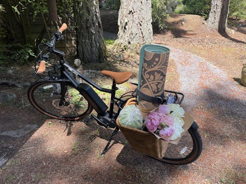 Bluejay Sport - Classic Black Electric Bike