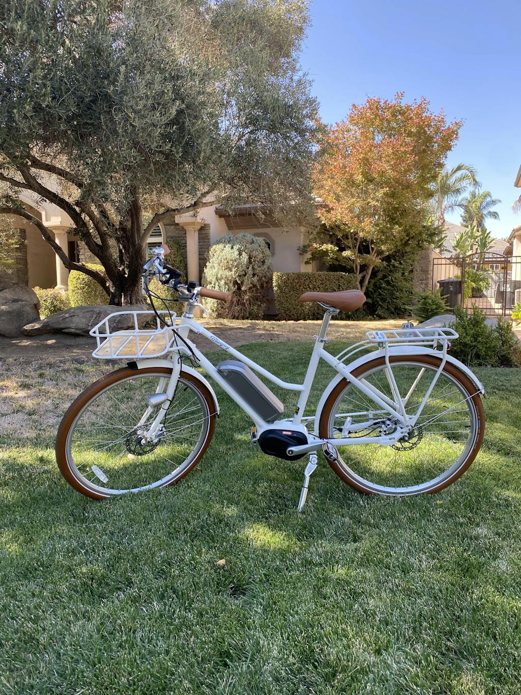 Bluejay Premiere - Modern White Electric Bike