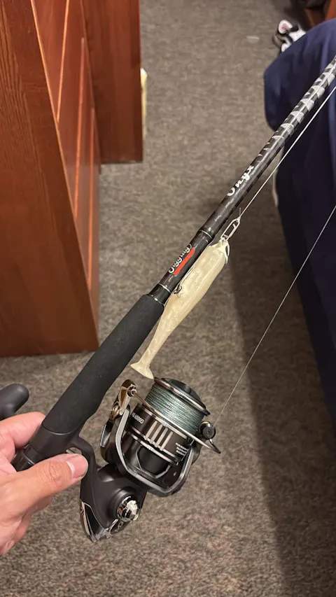 patagonia black hole mini mlc travel pack 30L Series_21 Caldia Model:GCX 842S MGM A rear luggage pass Fishing Rod Shimano Beastmaster